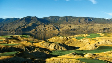 Tobiano