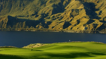 Tobiano